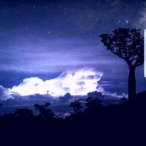 Meet your Posher, Alan